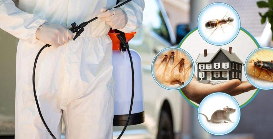 Akçakale Böcek İlaçlama