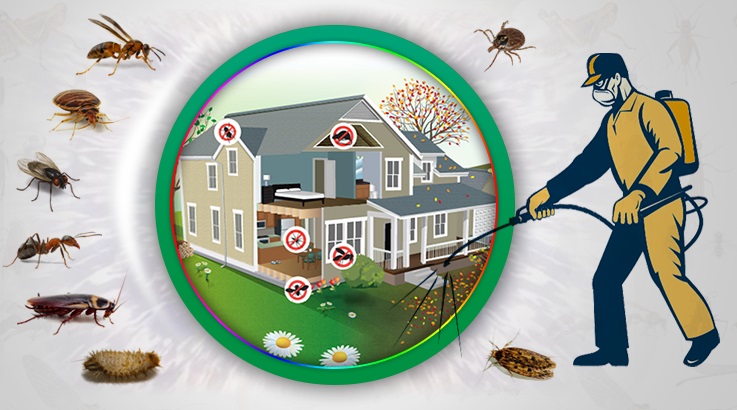 Akçakale Böcek İlaçlama