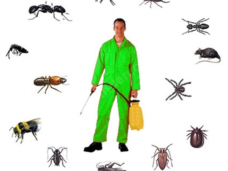 Akçakale Böcek İlaçlama